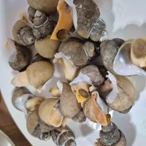 청량리골목포차 사진 2