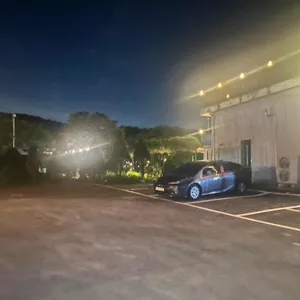 앤스베이글 리뷰 사진