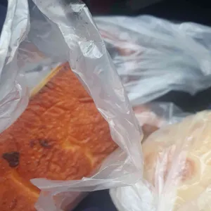 맘모스베이커리 사진