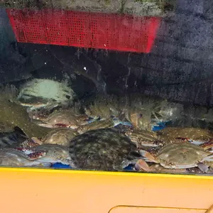 바다향기 대표 사진