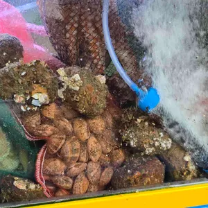 바다향기 대표 사진