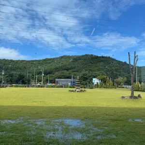 디비비 칼국수 리뷰 사진