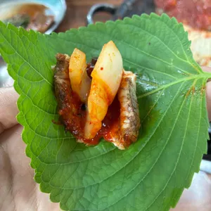 메기일번지 사진