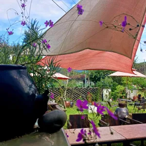 오온 갤러리카페 리뷰 사진