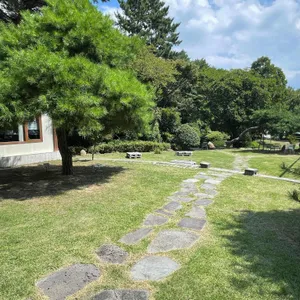 써니사이드업 리뷰 사진