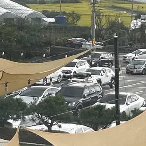 허니포레스트 리뷰 사진