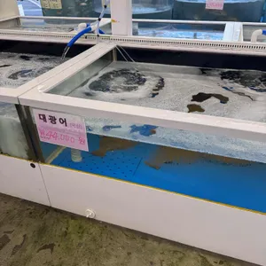 곰수산 판암 리뷰 사진