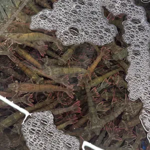 곰수산 판암 리뷰 사진