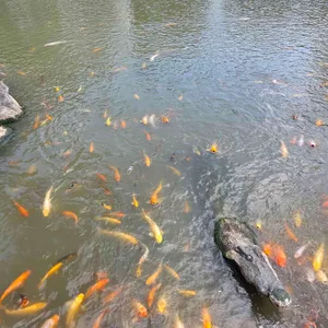 명장시대 리뷰 사진