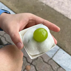 영춘모찌 사진 1