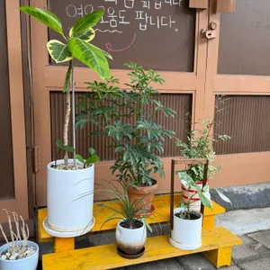 윤느 리뷰 사진