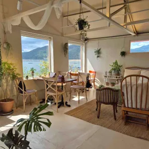 헬로정글 리뷰 사진