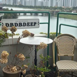 디비디비딥 리뷰 사진