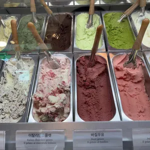 스쿠퍼 젤라또 사진