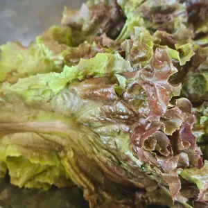 병영나들목 사진