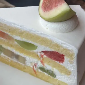 슬로우스텝 사진