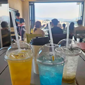 S.caf 사진 2