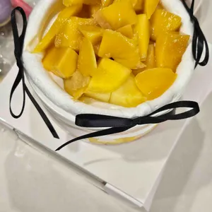 프레젠트 대표 사진