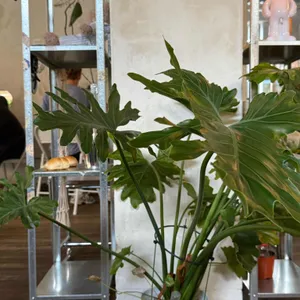 블루본즈 한옥 리뷰 사진