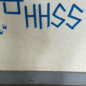 HHSS HOUSE 리뷰 사진