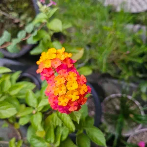 토담 리뷰 사진