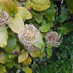 토담 리뷰 사진