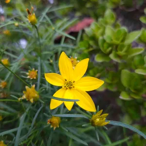 토담 리뷰 사진