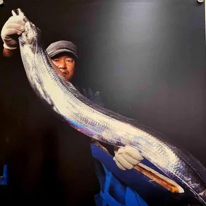 거문도은갈치 리뷰 사진