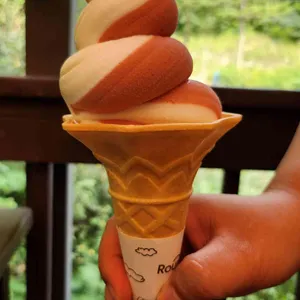 대관령 삼양라운드힐카페 대표 사진