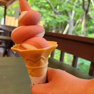 대관령 삼양라운드힐카페 사진