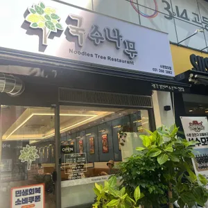국수나무 대표 사진