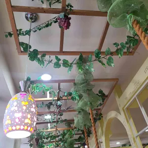 캔모아 리뷰 사진