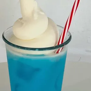 솔 사진