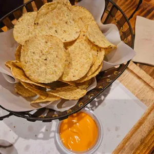 아벡데프리츠 사진