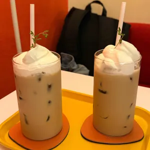 옵튼 사진 1
