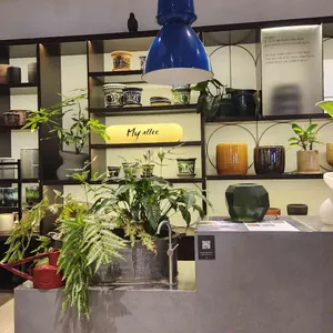 마이알레 리뷰 사진