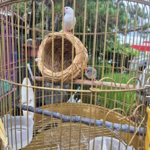 서오릉 반구정민물장어 리뷰 사진