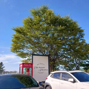 카페 프로방스 리뷰 사진