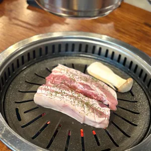 금빛한돈 사진