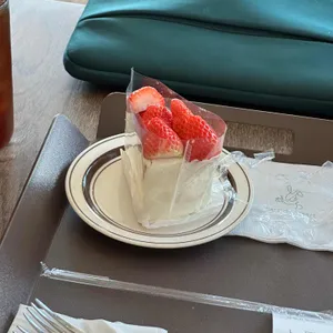 카페 드 래빗 사진