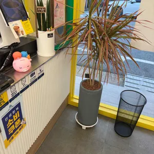 빽다방 리뷰 사진