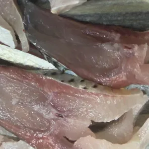 리플러스활어회센타 사진