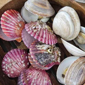 장씨해녀집 사진