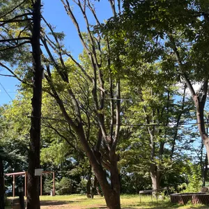 헤이더그린 사진