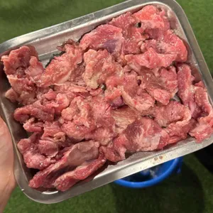 돼지전설 대표 사진