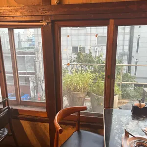 진달래 리뷰 사진