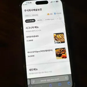 야키토리 공 리뷰 사진