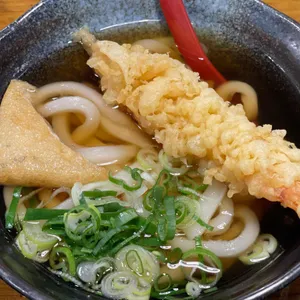 진우동 사진 1