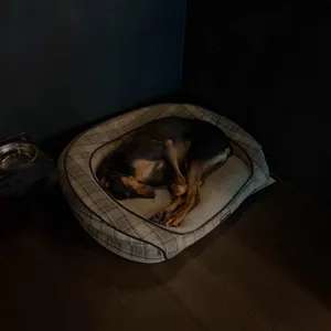 의도카페 리뷰 사진