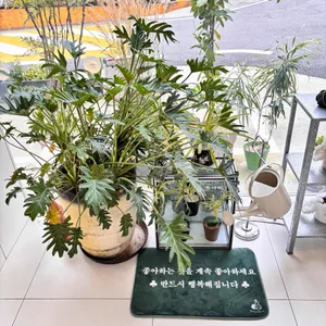 인커브 리뷰 사진